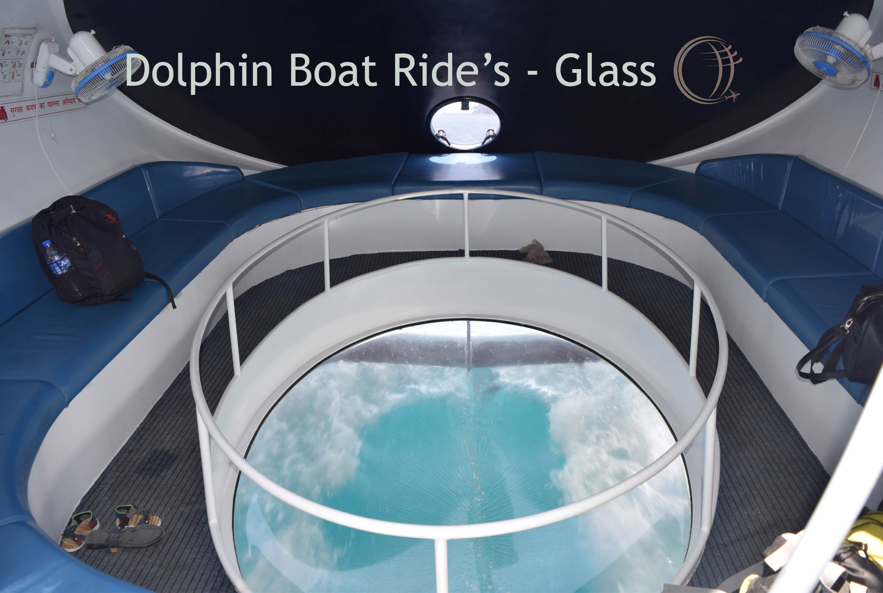 Dolphin Glass Bottom Boat Ride